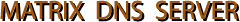 Matrix DNS Server
